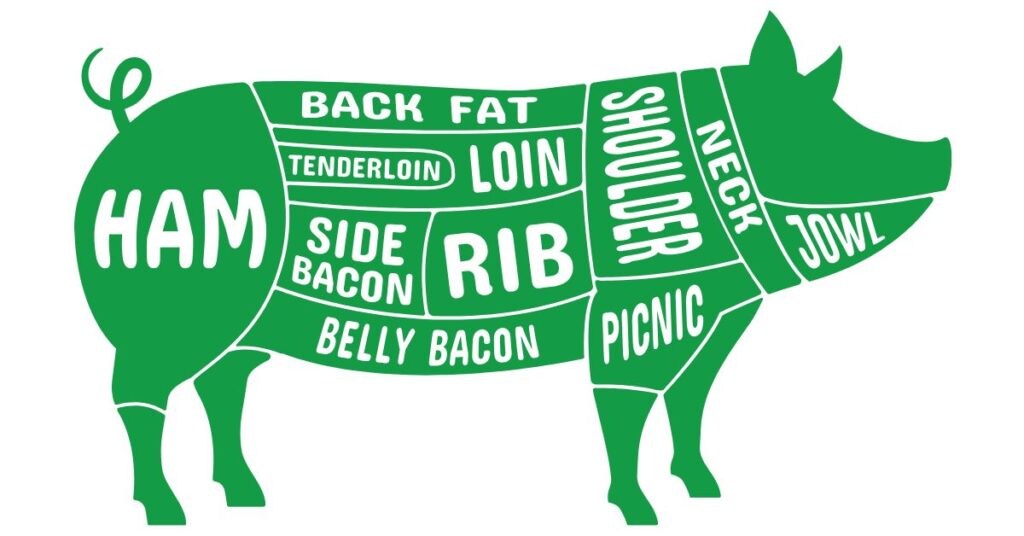 What Are the 8 Common Cut of Pork?