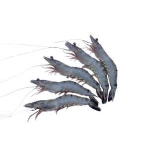 Frozen Shrimp (2kg)